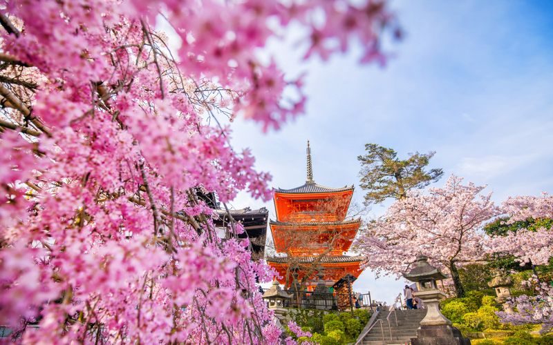 When to go Japan? Best times of the year to visit