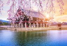 Best Time to Visit South Korea: A Seasonal Guide