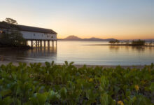 Best Time to Visit Port Douglas: Your Ultimate Guide