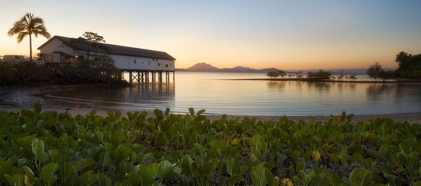 Best Time to Visit Port Douglas: Your Ultimate Guide